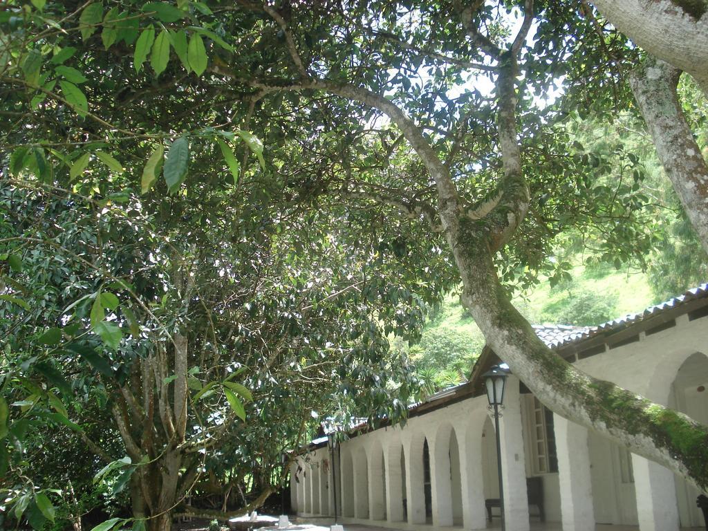 Hosteria La Eterna Primavera Huigra Esterno foto